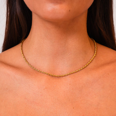 Calvi Collection